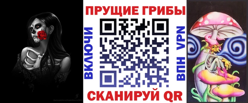 где купить   Великие Луки  Псилоцибиновые грибы мицелий 